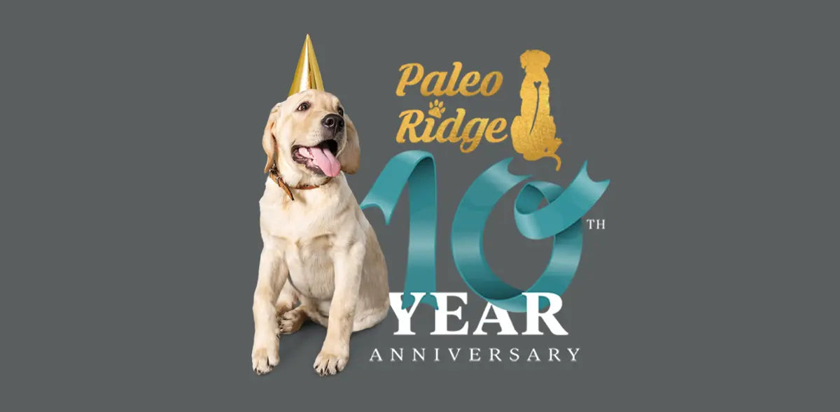 Paleo Ridge Celebrates a Decade of Excellence in Raw Dog Food Supply