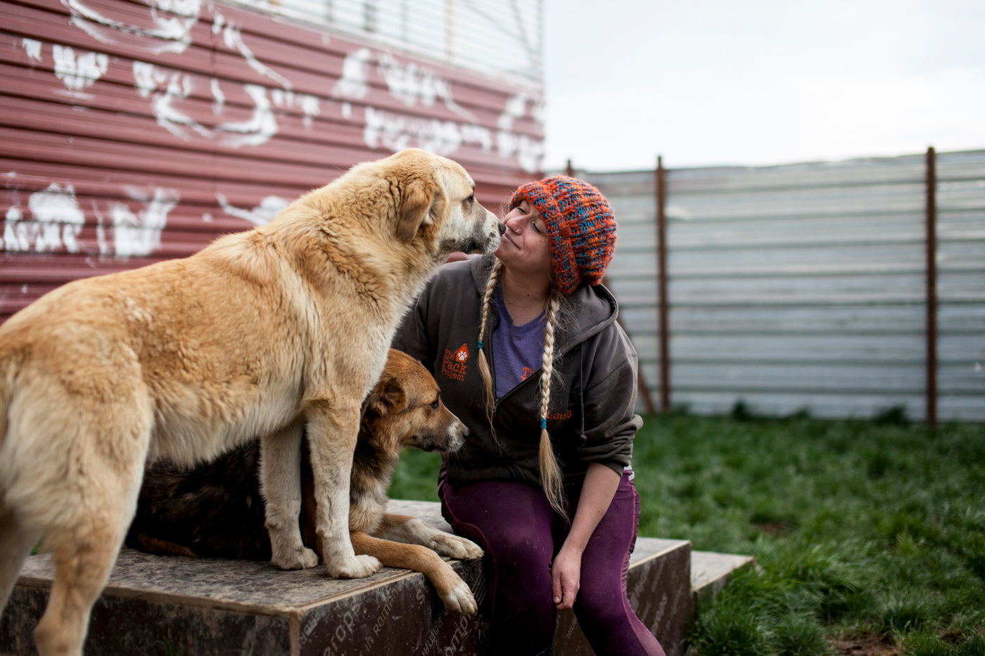 The Pack Project: What We Do and How It All Began