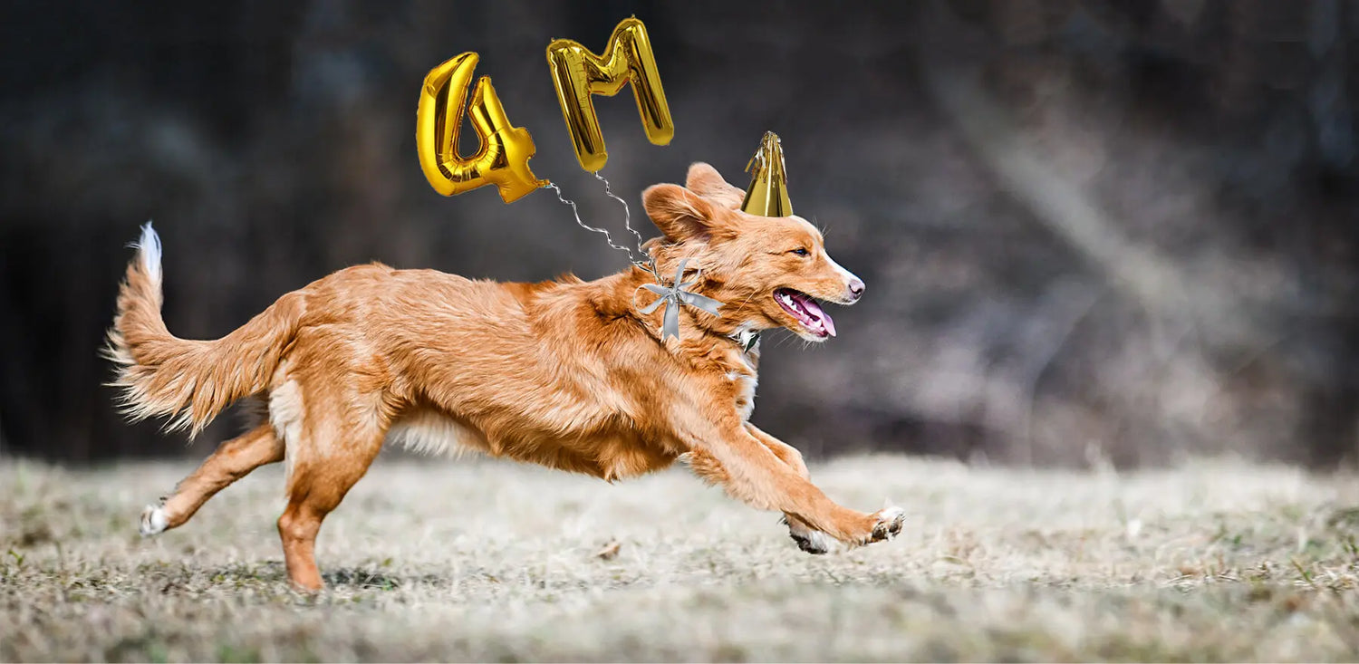 Paleo Ridge Celebrates 4 Million Meals Landmark With 30% Discount For New Customers