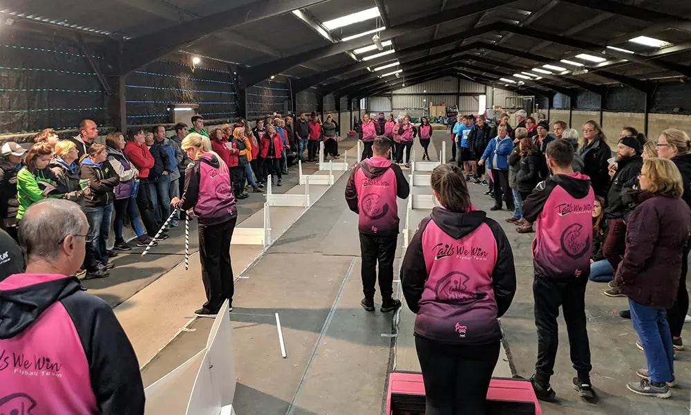 Paleo Ridge Powers Champion Flyball Dog Team