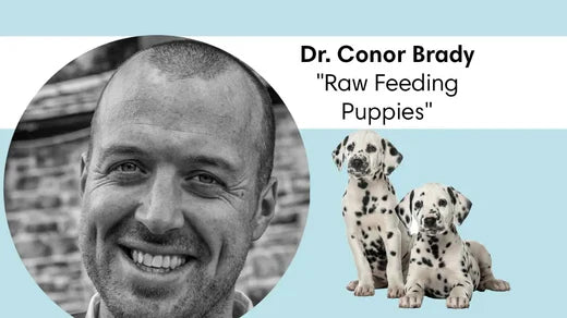 Conor Brady on Raw Feeding Puppies