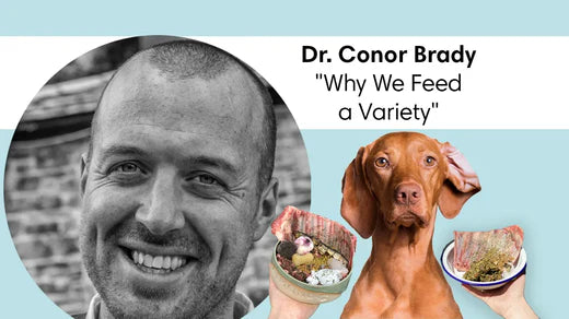 Benefits of Feeding Dogs a Variety of Raw Meat