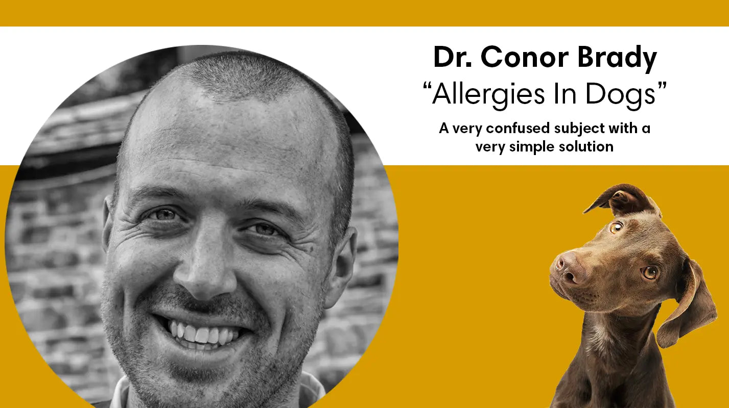 Allergies in Dogs: A Very Confused Subject With a Very Simple Solution