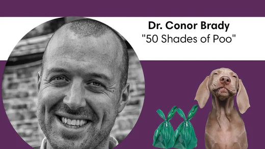 50 Shades of Dog Poo: Deciphering Your Dogs Poo