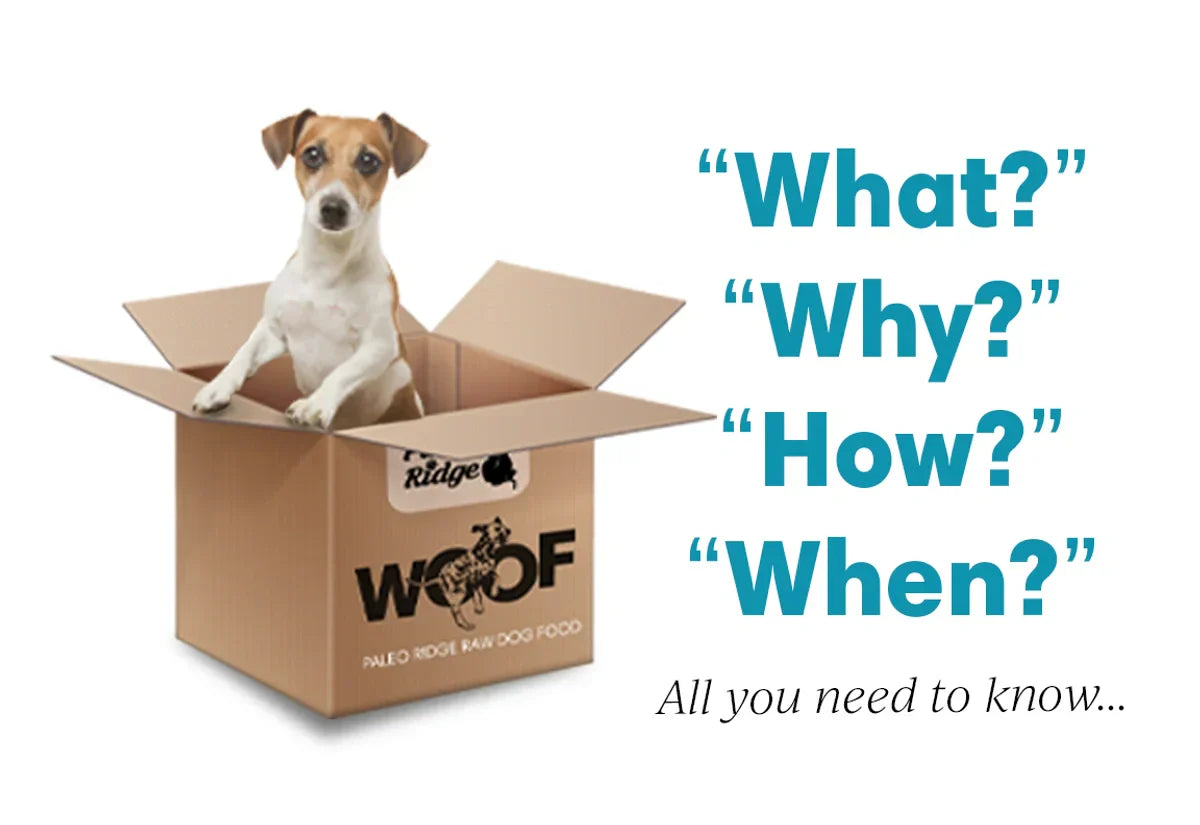 Paleo Ridge Deliveries - All You Need to Know