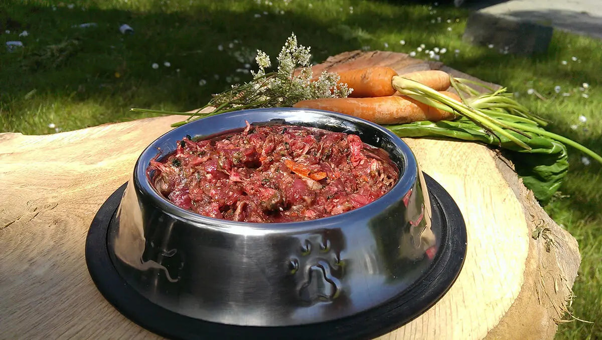 PFMA Response to Porto University Research