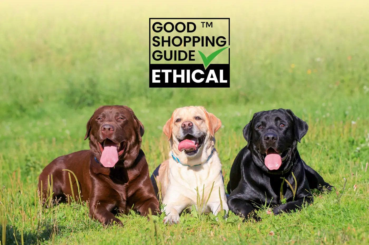 We're a Top 200 Ethical Company