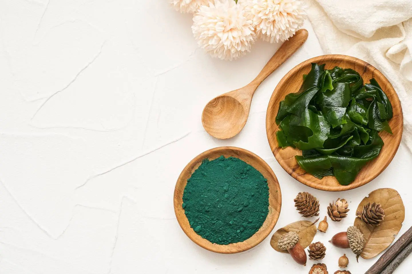 Sea Vegetables: A Garden Under the Sea for Your Dog?
