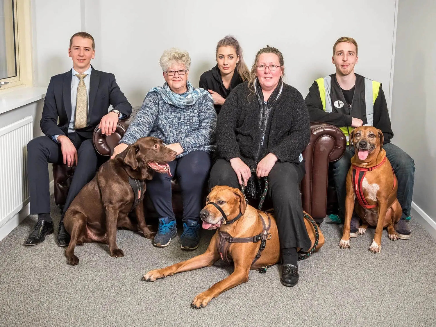 We Made Local News for Our Environmental Efforts