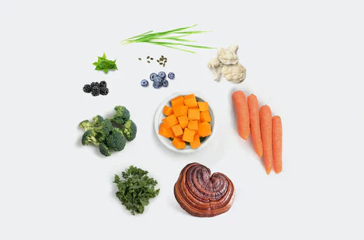 Paleo Puppy Superfood Benefits