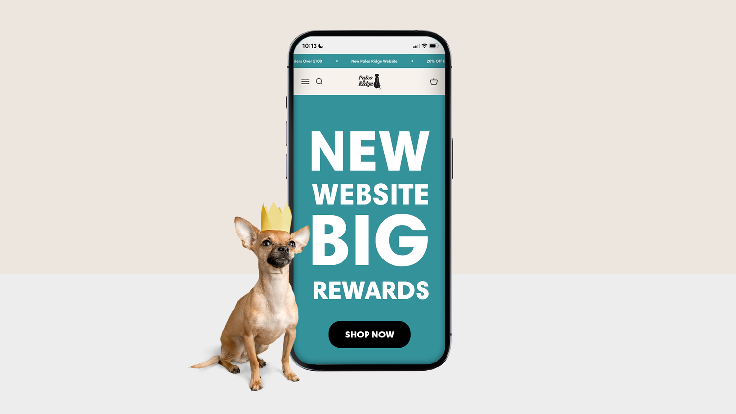 Exclusive Discounts For You