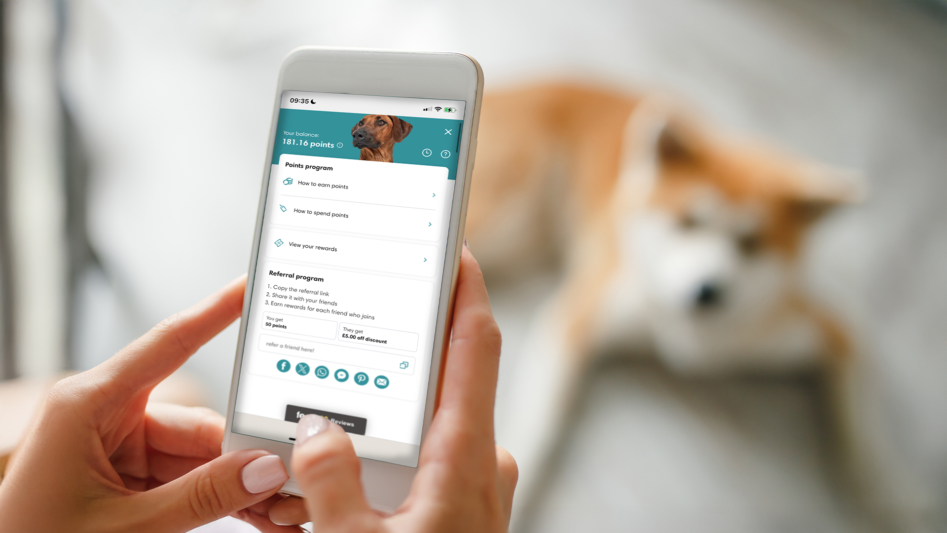 Loyalty Points with Paleo Ridge: What's New?