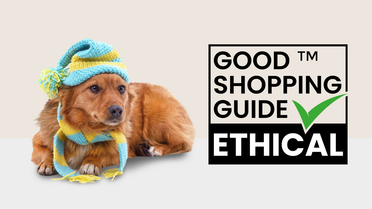 Paleo Ridge Earns Ethical Accreditation for the Seventh Consecutive Year