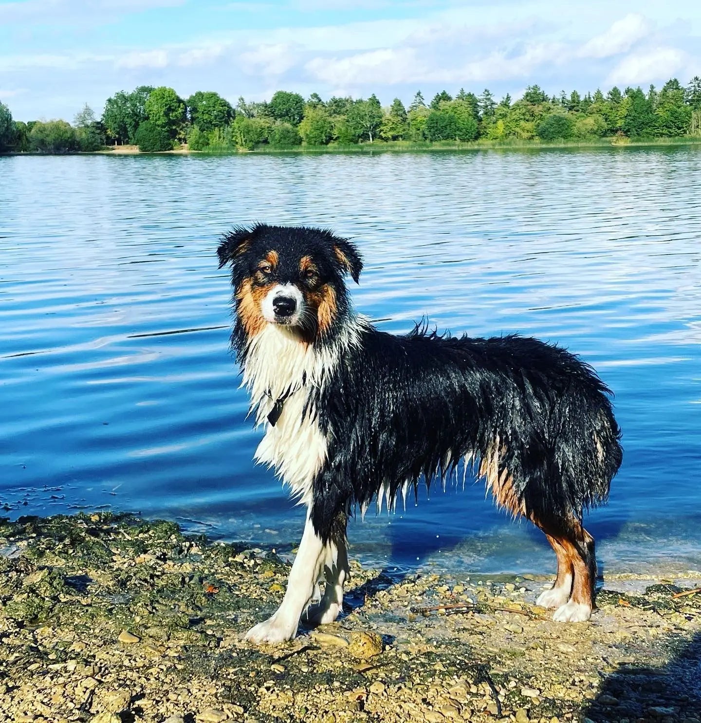 September Success Story: Solarwind Aussies