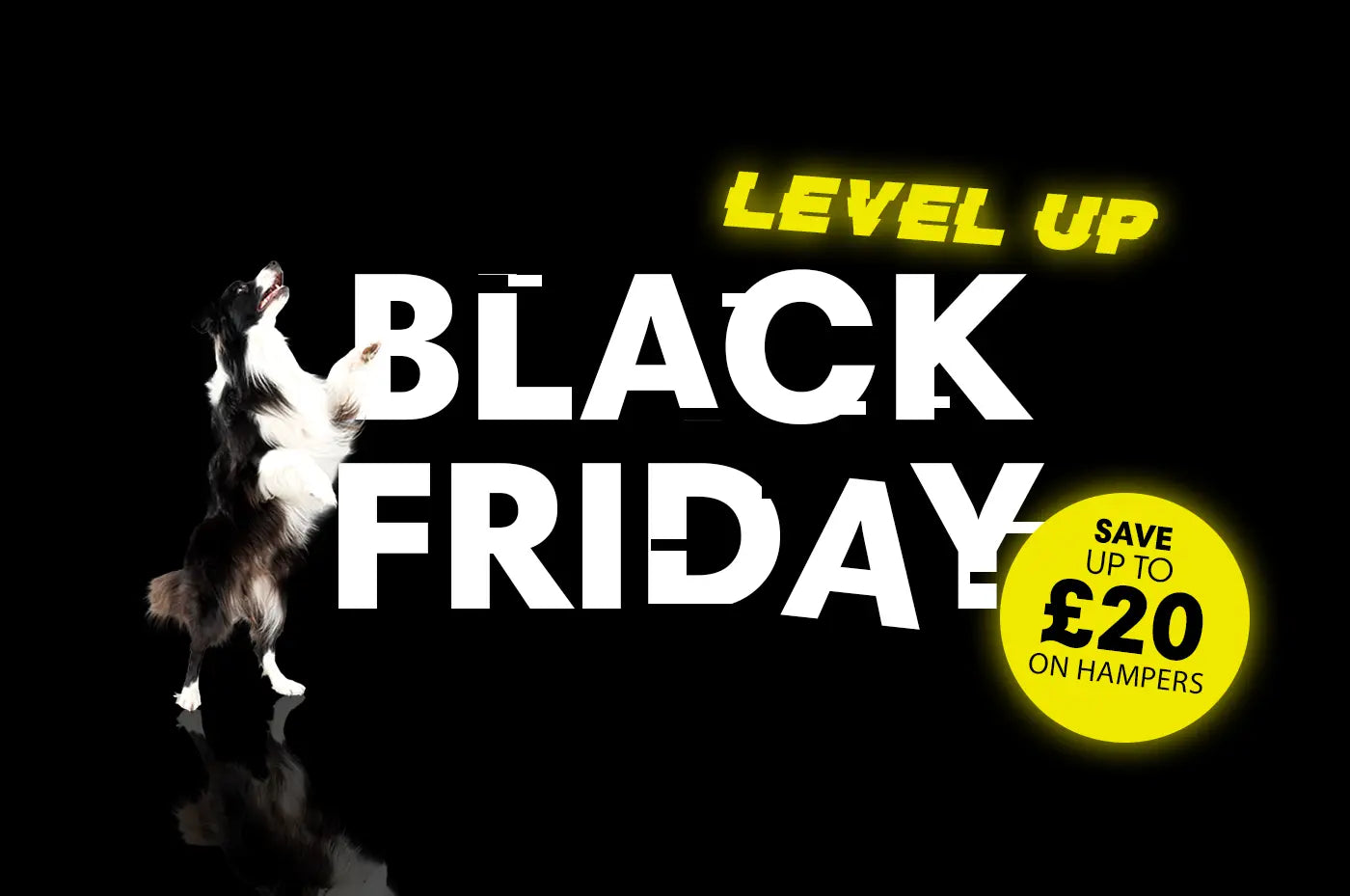Paleo Ridge Launch Exclusive Black Friday Hampers with a Chance to ‘Level Up’