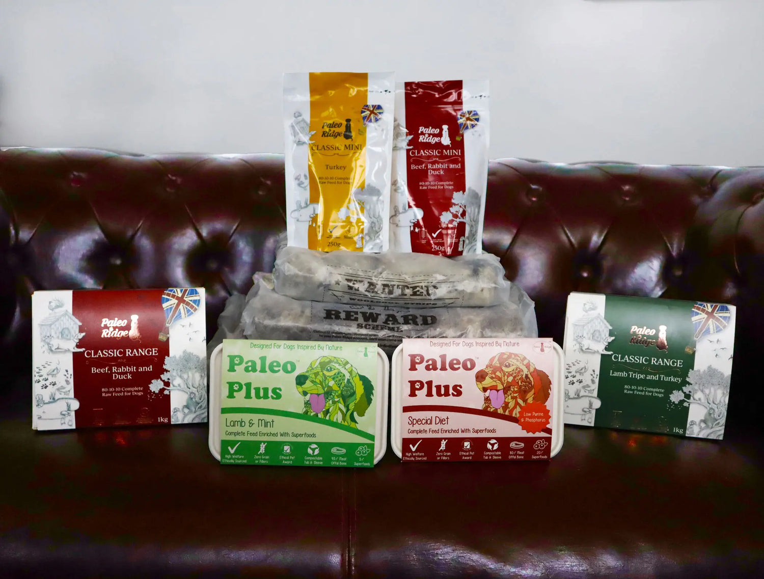 Paleo Ridge Sets the Environmental Benchmark