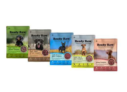 Ready Raw: Raw Just Got Easy