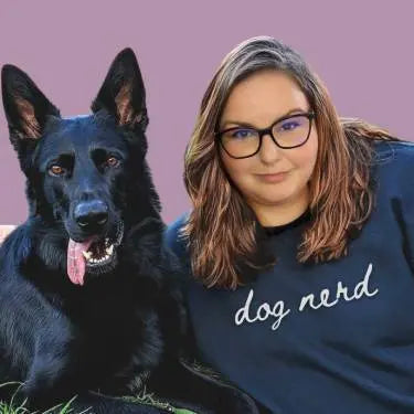 The Importance of Canine Enrichment Activities