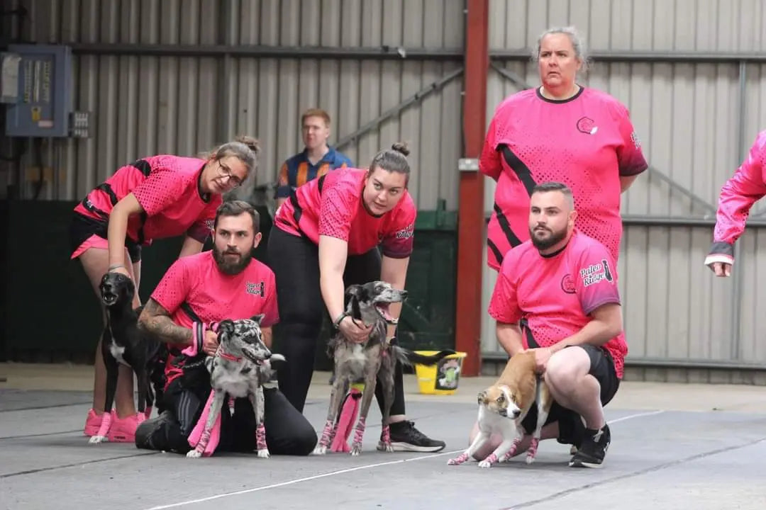 Tails We Win in 2nd Place at Flyball World Cup!