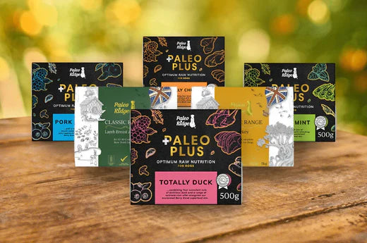 The Benefits of Single Protein Meals