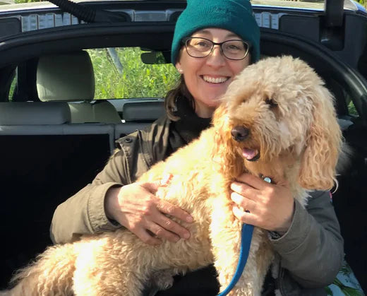 10 Tricks for Encouraging your Fussy Dog to Eat