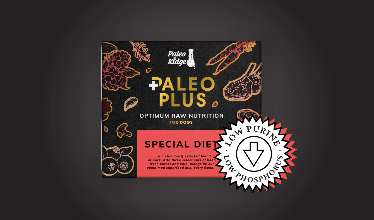 What is Paleo Plus Special Diet Raw Dog Food?