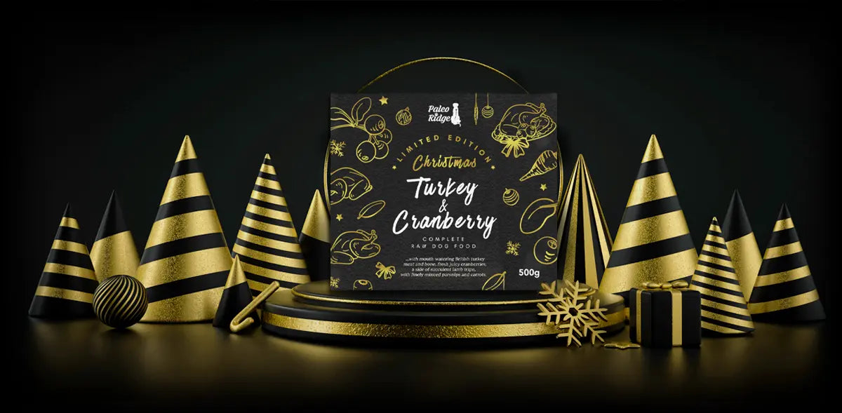 Christmas Turkey & Cranberry is Back