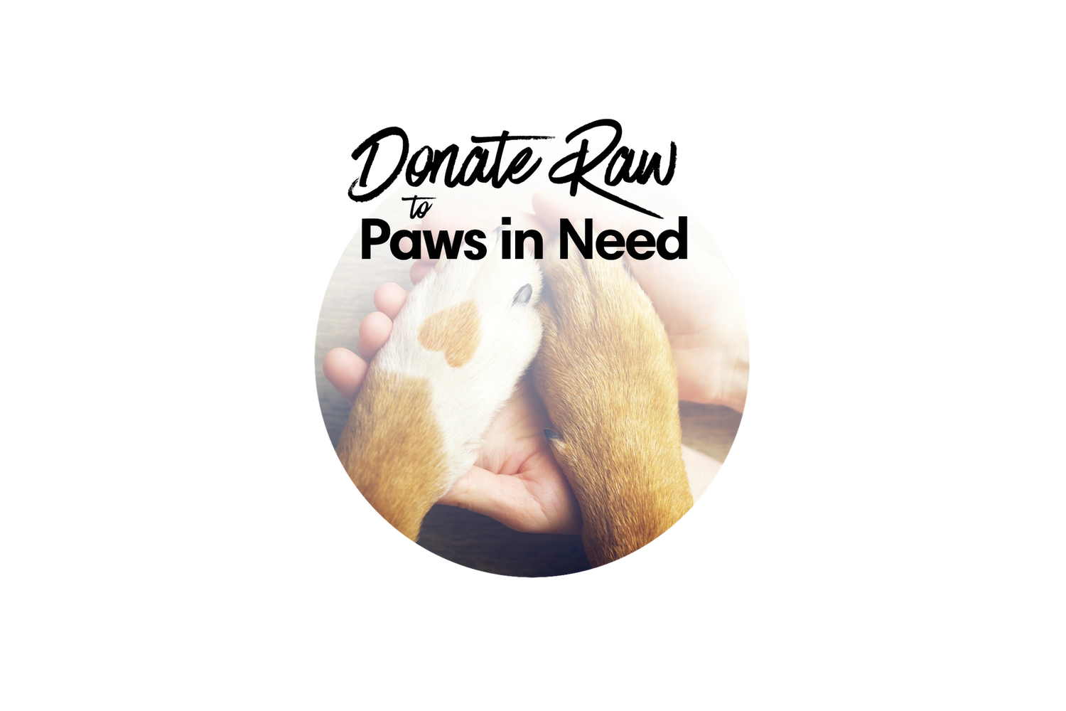 Donate Raw to Paws in Need