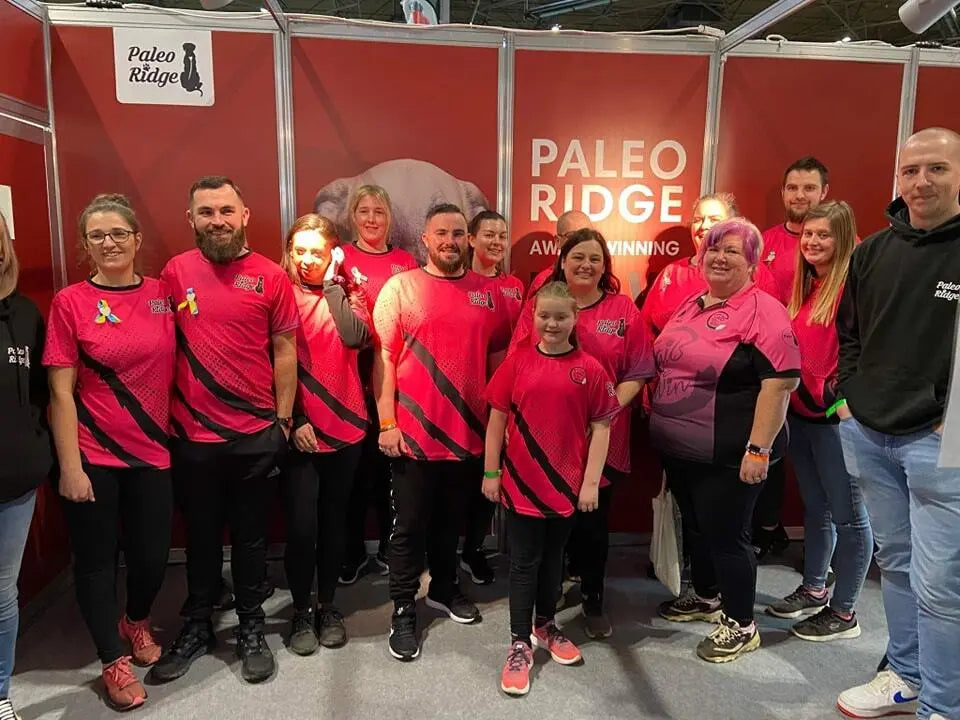 Who Are Tails-We-Win and What is Flyball?