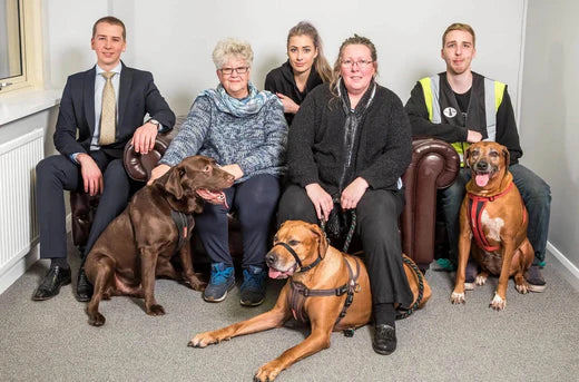 How Herbie Helped to Create a New Business