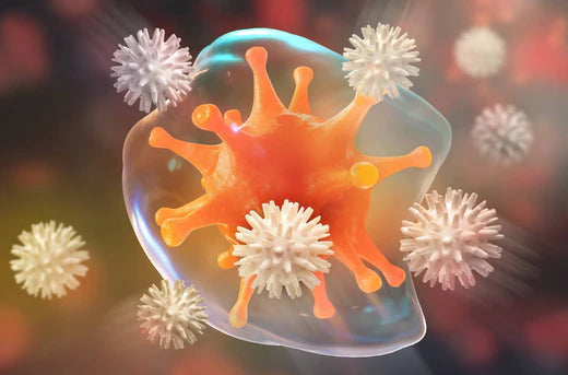 Raw Dog Food and The Immune System