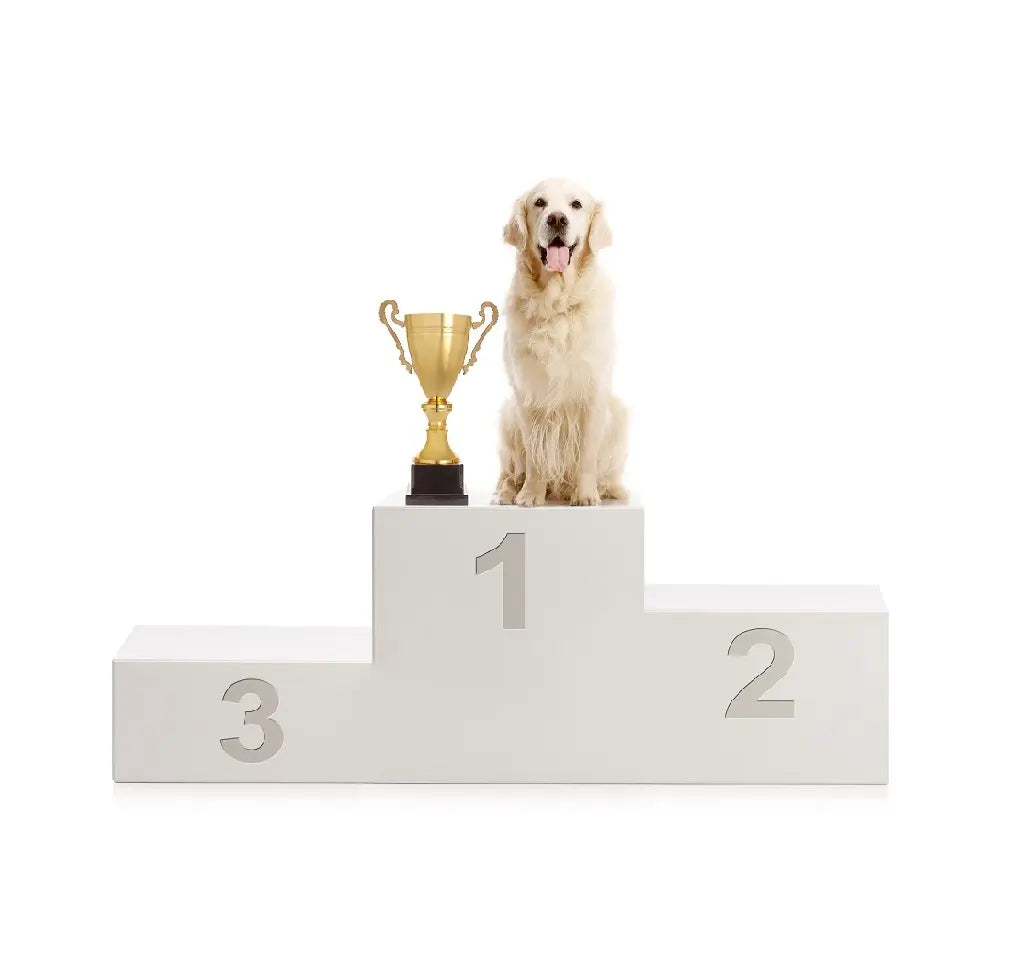 Award-Winning Natural Dog Nutrition
