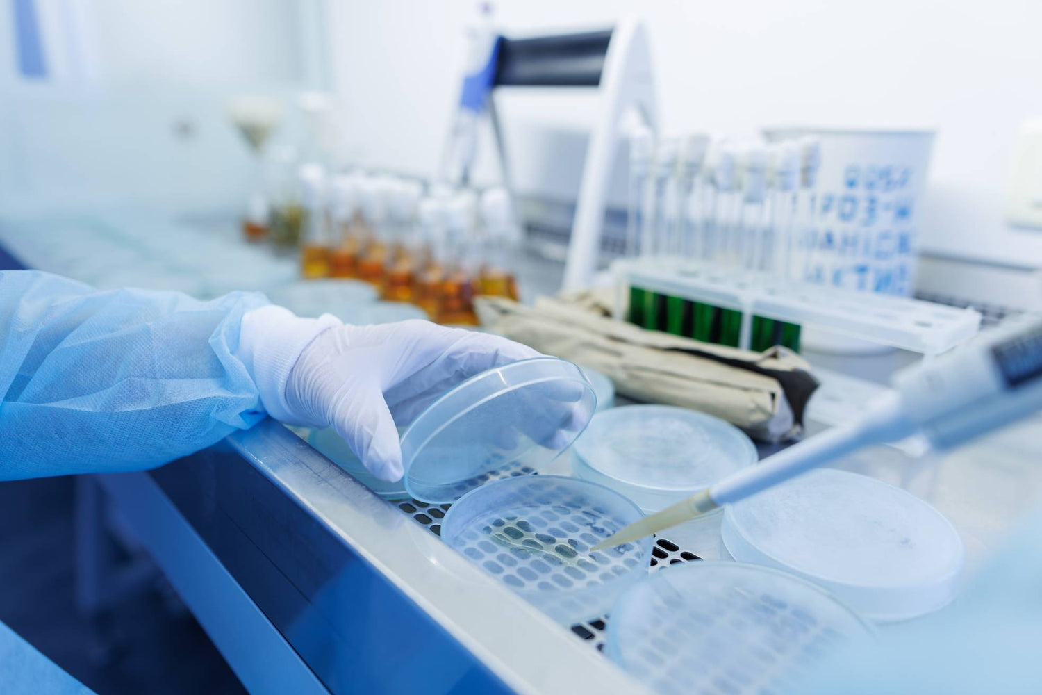 Salmonella, Raw Dog Food & the FSA Study: Why Testing and Safety Matter at Paleo Ridge