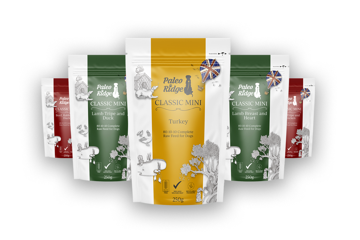 Six Paleo Ridge Classic Mini dog food pouches in red, green, and yellow flavors, arranged in a fan pattern on a white background. Each pouch features different meat and ingredient illustrations.