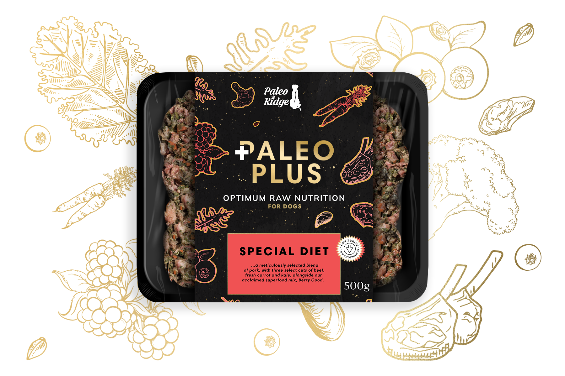 Paleo Plus Special Diet (500g)
