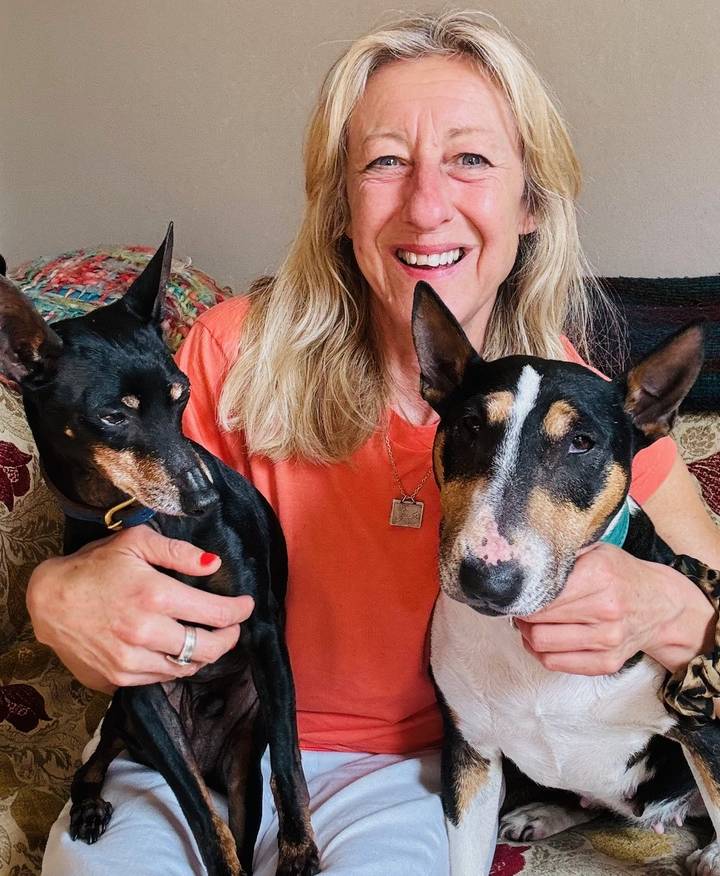 What is the 'Body Burden' in dogs (and cats)?