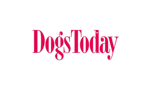 Paleo Ridge Raw Dog Food is officially the Best Raw Dog Food in the UK