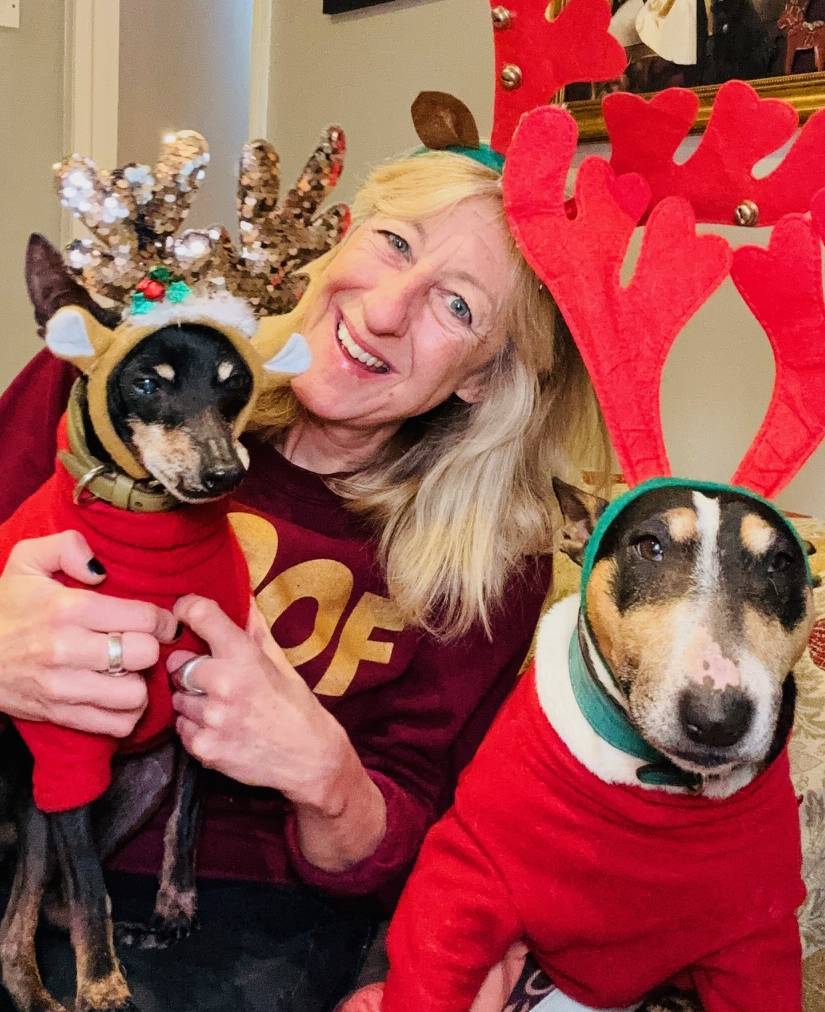 Avoid Making Christmas Day a Dog's Dinner