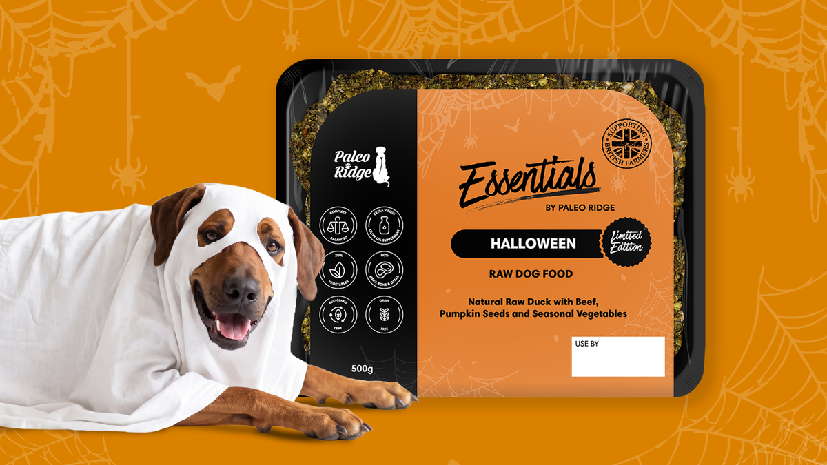 No tricks, just treats: Paleo Ridge launches its first limited-edition Essentials recipe for Halloween