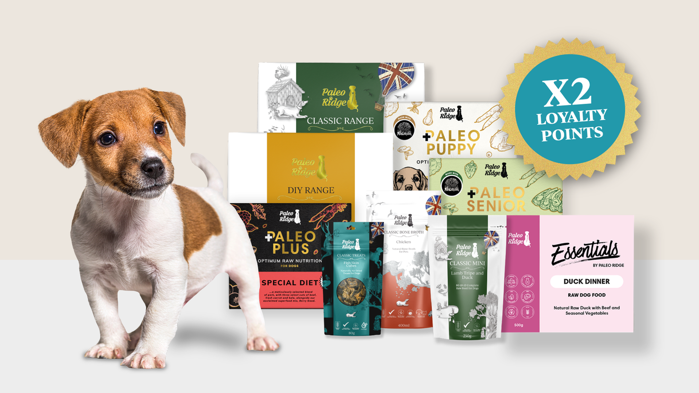 Paleo Ridge, the UK’s leading raw dog food manufacturer, is rewarding ...