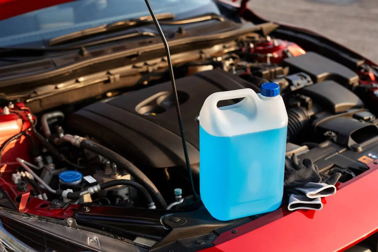 Autumn Series: Antifreeze Beware