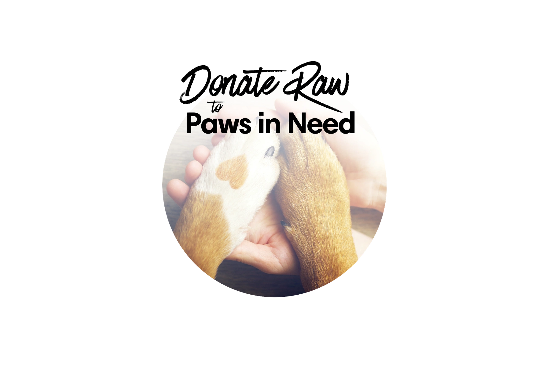 Donate Raw to Paws in Need