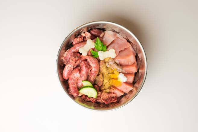 Does Your Dog Need Supplements?