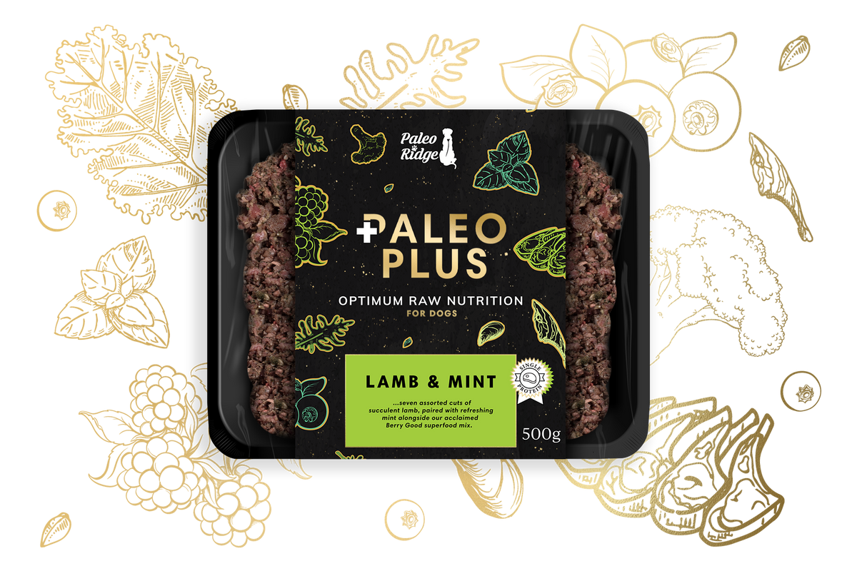 Raw Dog Food – Paleo Ridge