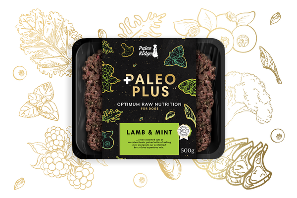 Raw Dog Food – Paleo Ridge