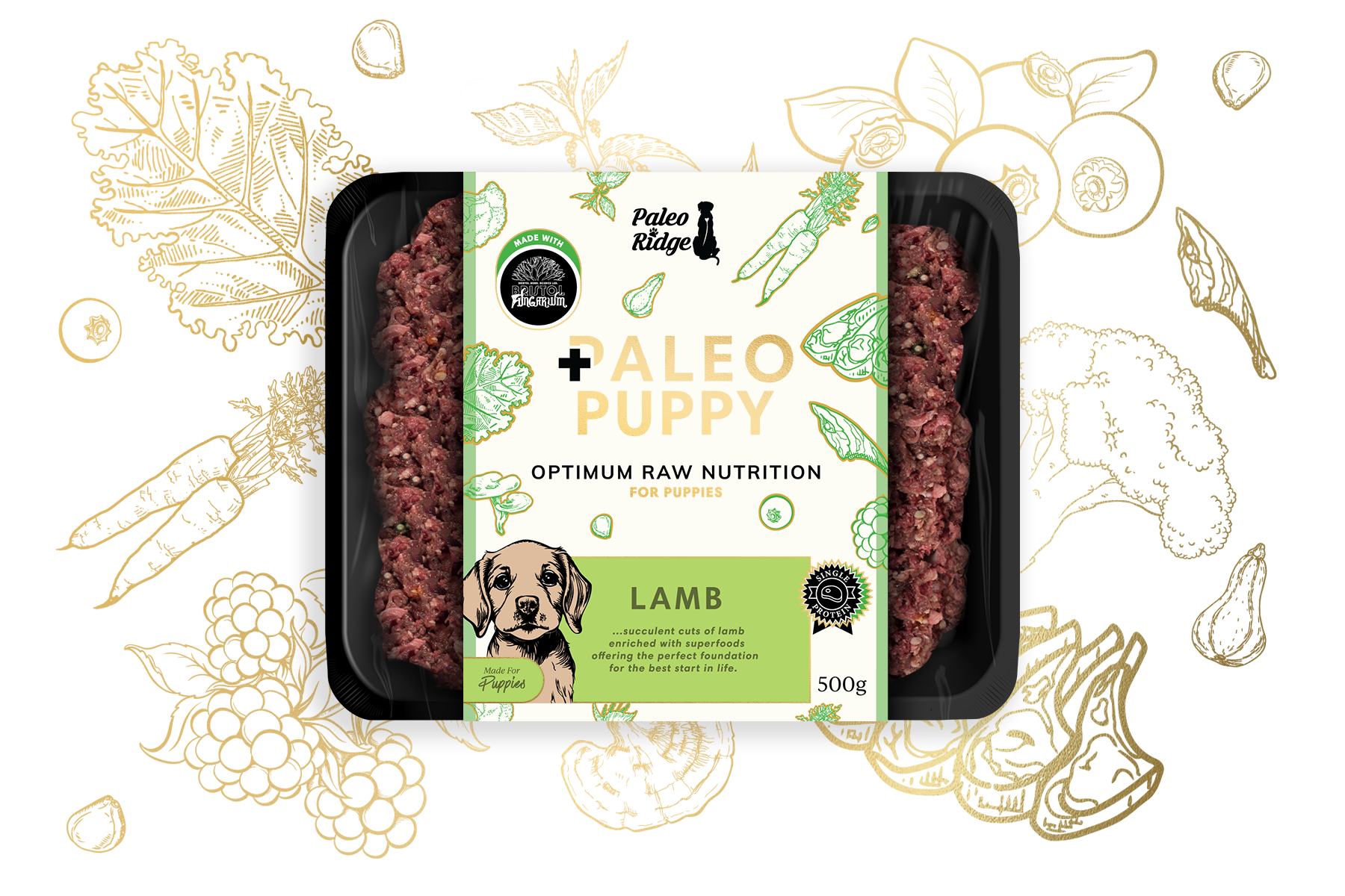 Tray of raw minced lamb dog food labeled Paleo Ridge Paleo Puppy Lamb (500g), featuring illustrations of veggies and a cartoon puppy, set against a white background with gold line drawings of fruits and vegetables. This 500g package provides premium raw dog food, formulated as an ideal lamb meal for puppies.