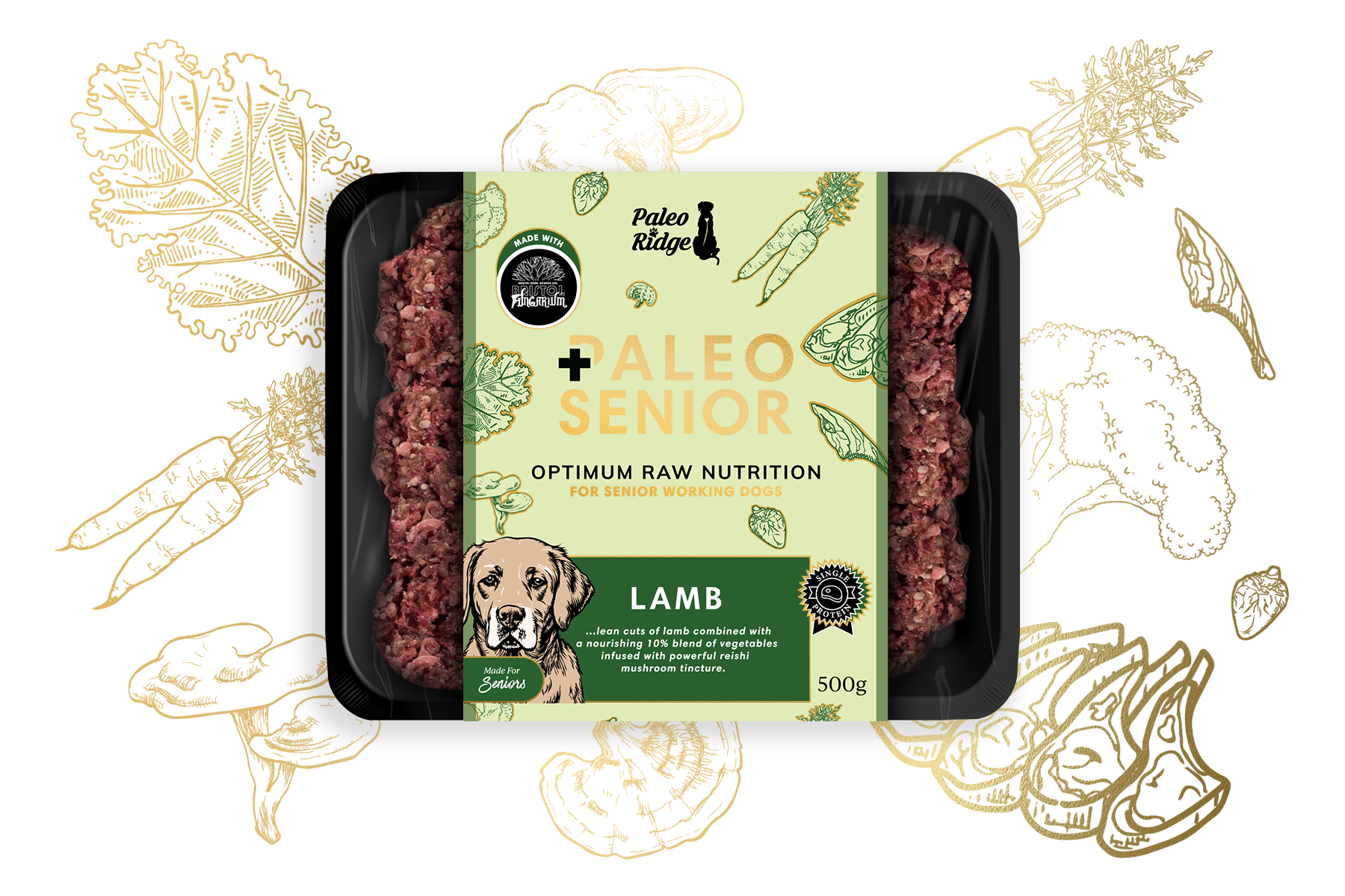 A 500g tray of Paleo Ridge Paleo Senior Lamb features a green label decorated with illustrations of leaves, mushrooms—including Reishi mushroom—and a drawing of a dog’s head on the front, and is specially formulated raw lamb dog food for senior working dogs.