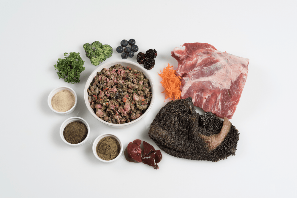 Paleo Plus Special Diet (500g) | Raw Dog Food | Paleo Ridge | Default ...