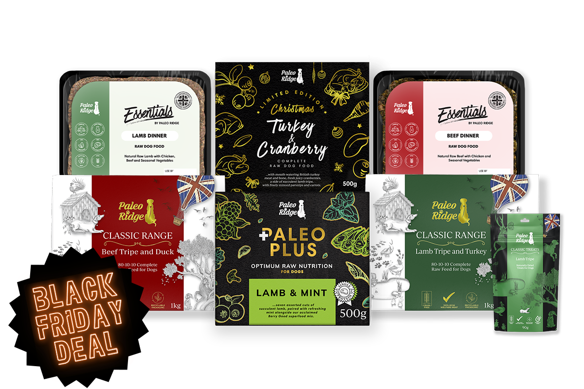 Banging Black Friday Bundle