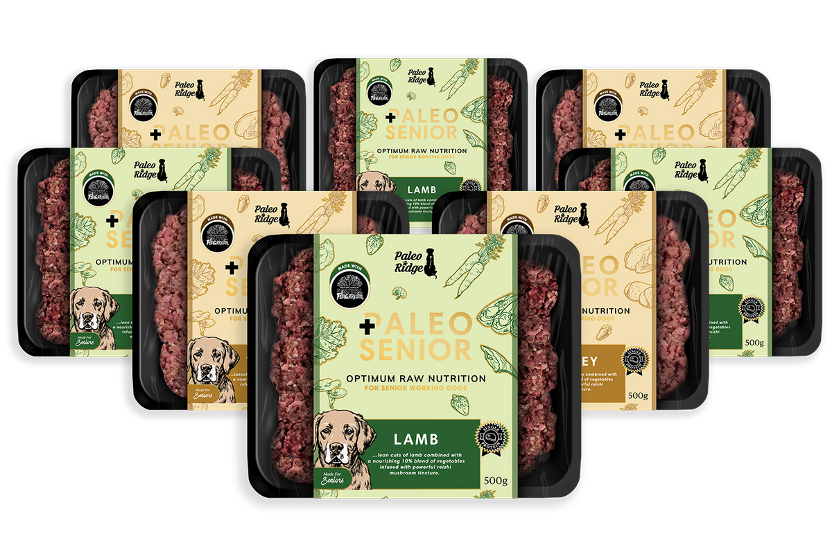 The Paleo Ridge Paleo Senior Bundle (16 x 500g) offers a selection of lamb or turkey dog food trays, featuring illustrated leaves, vegetables, and a dog design on cream and green backgrounds—an ideal choice for those seeking low-fat senior dog food options.